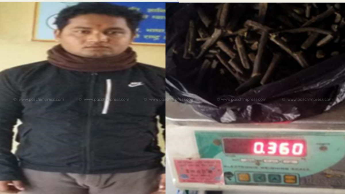 कञ्चनपुरमा लागुऔषध चरेस सहित एक पक्राउ
