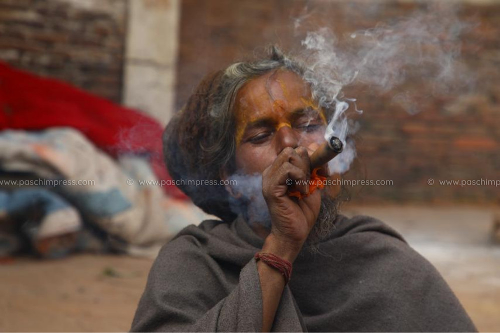 तस्वीरमा हेर्नुहोस पाशुपत क्षेत्रका अनेकथरी साधुसन्त