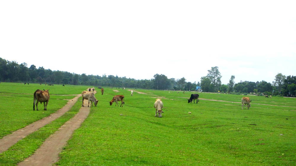 विमानस्थल विस्तार गर्न जग्गा अधिग्रहणका लागि सहजीकरण गर्न माग