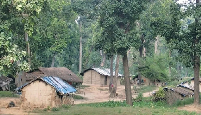 कैलालीमा अतिक्रमणले वन मासिँदै