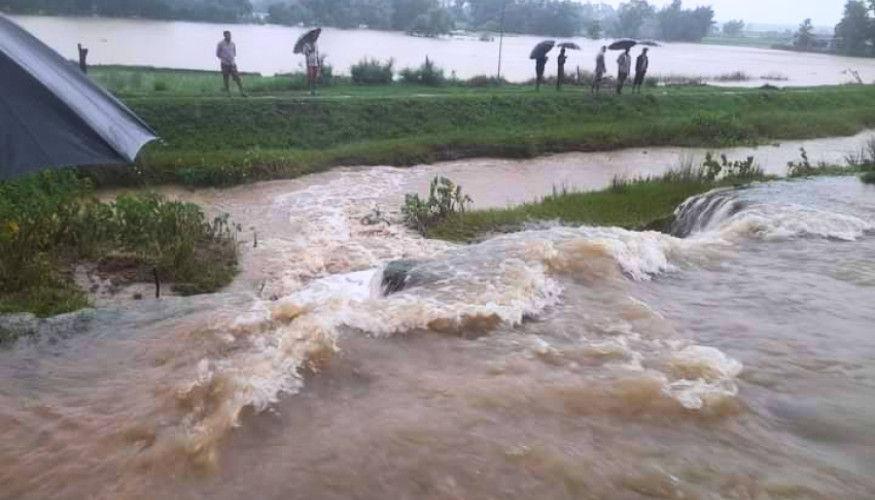 बाढीले कञ्चनपुरको चौधर नदीको नहर फुट्यो, बस्ती जोखिममा