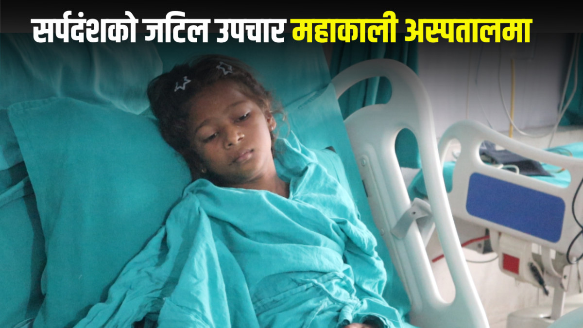 सर्पदंशको जटिल उपचार,महाकाली अस्पतालमा यसरी भयो सम्भव